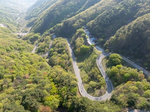도래재별빛마을캠핑장