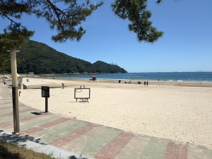 송정솔바람해변캠핑장