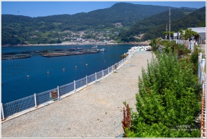 욕지도 청보리 캠프